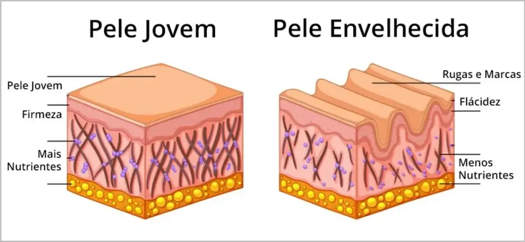 Colágeno Verisol e Ácido Hialurônico